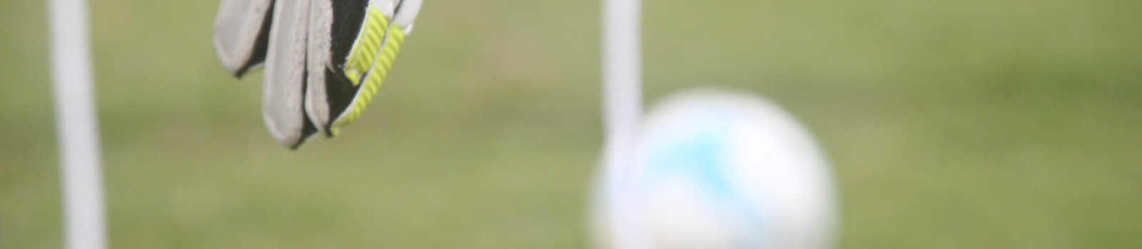 Contact Goals Soccer School